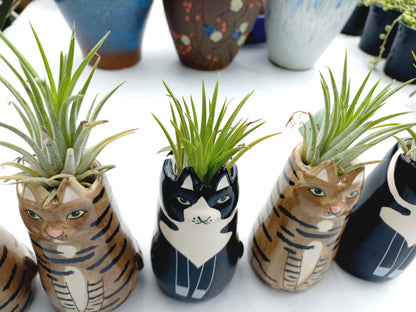 Sitting Cat pot with vibrant Fresh Air plants - For Pet lovers❤️