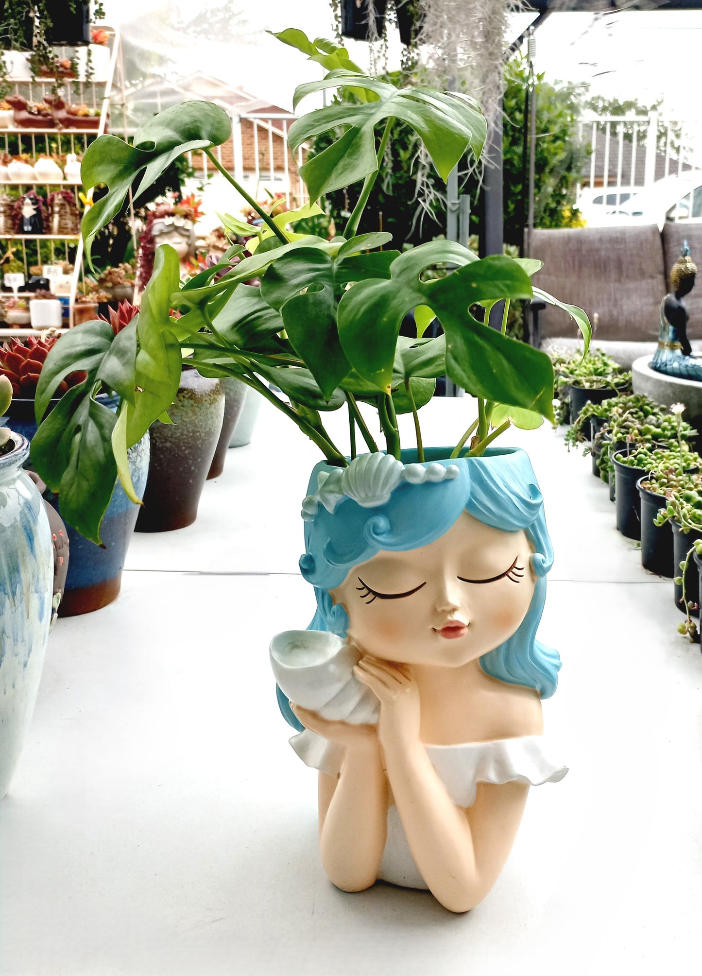 Large Monstera Deliciosa Flower Fairy pot - ideal for indoor space!