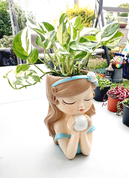 Large Snow Queen Pothos Flower Fairy pot - ideal for indoor space!