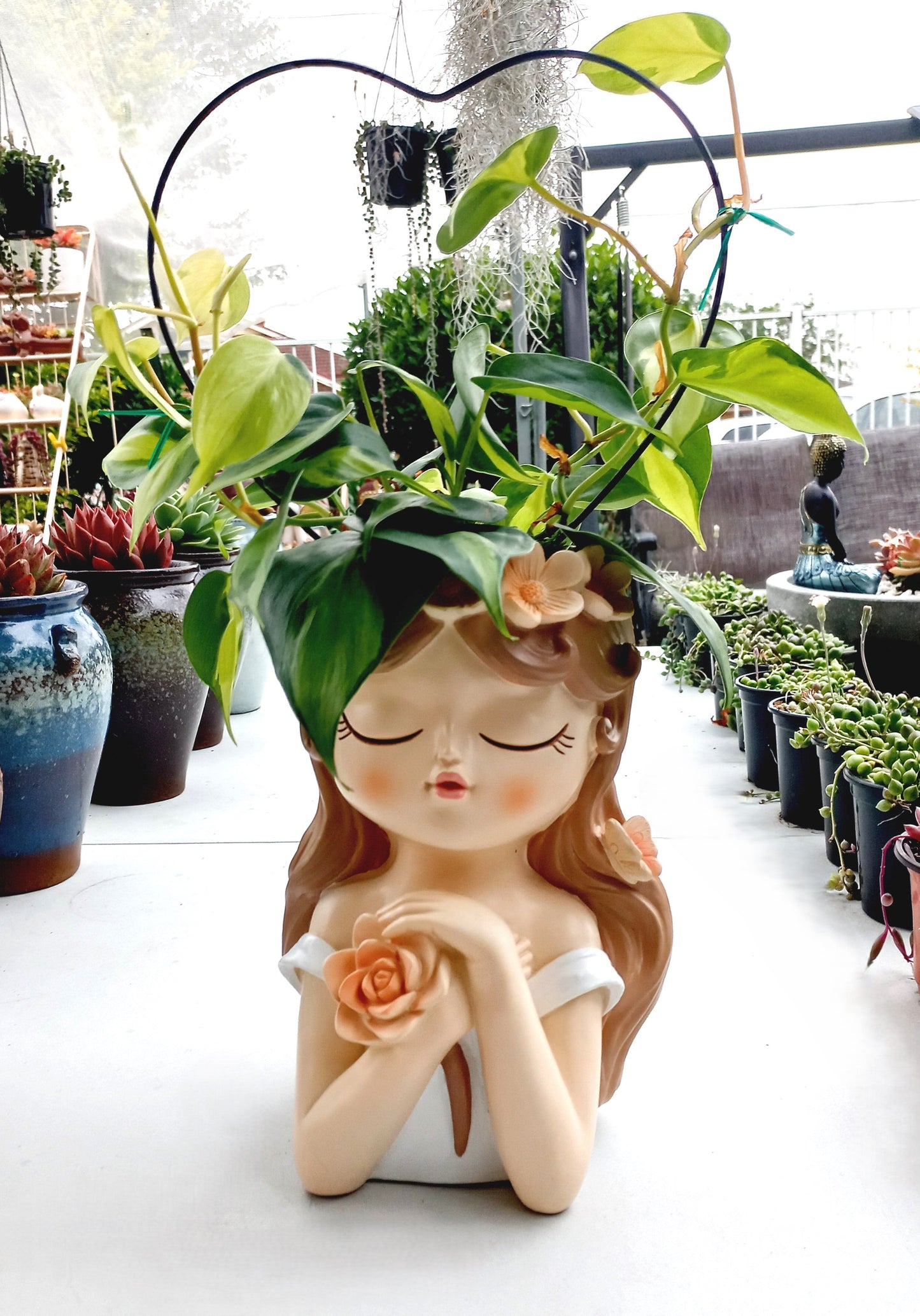 Large Philodendron Brasil Flower Fairy pot - ideal for indoor space!