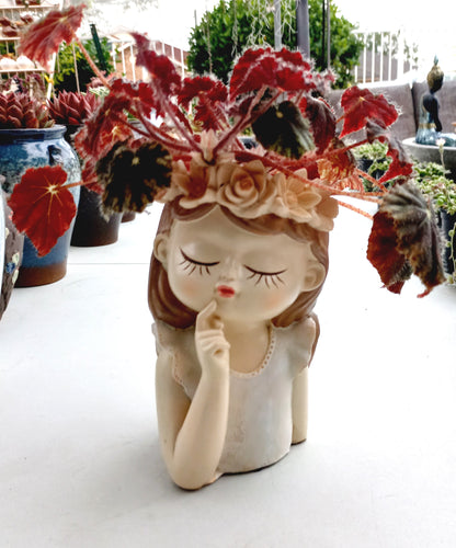 Medium Begonia Rex Flower Fairy pot - ideal for indoor space!