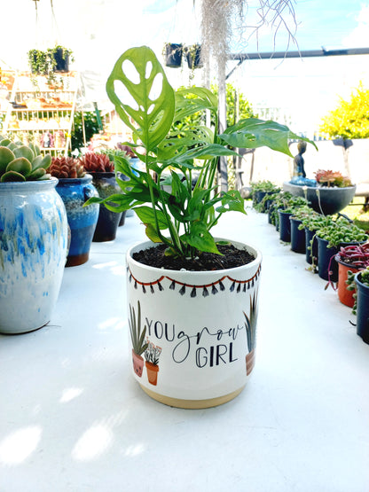 You Grow Girl Pun Planter - ideal for indoor space!