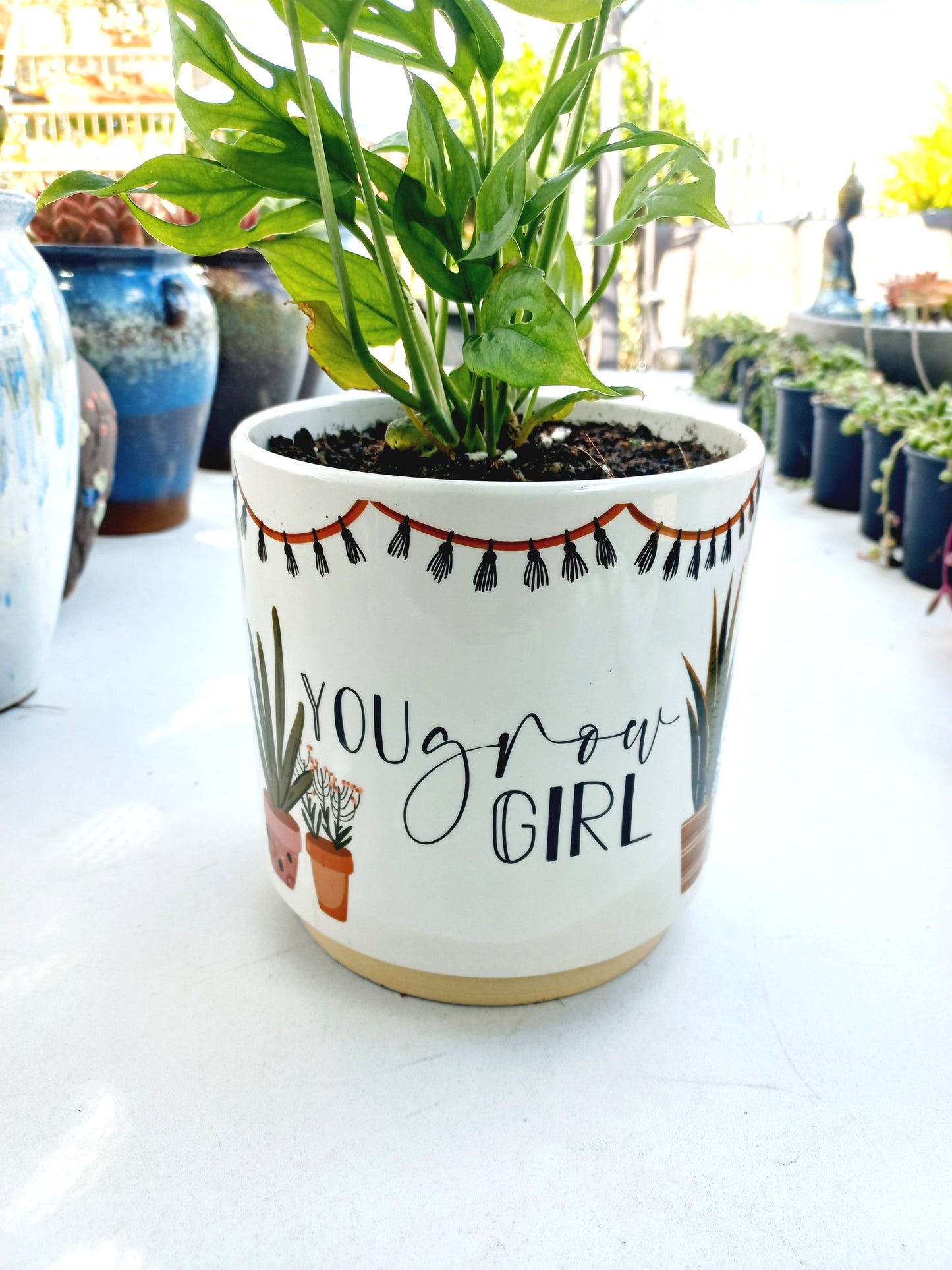 You Grow Girl Pun Planter - ideal for indoor space!