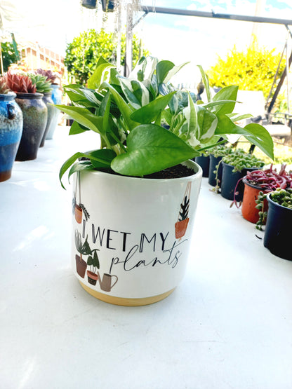 You Grow Girl Pun Planter - ideal for indoor space!