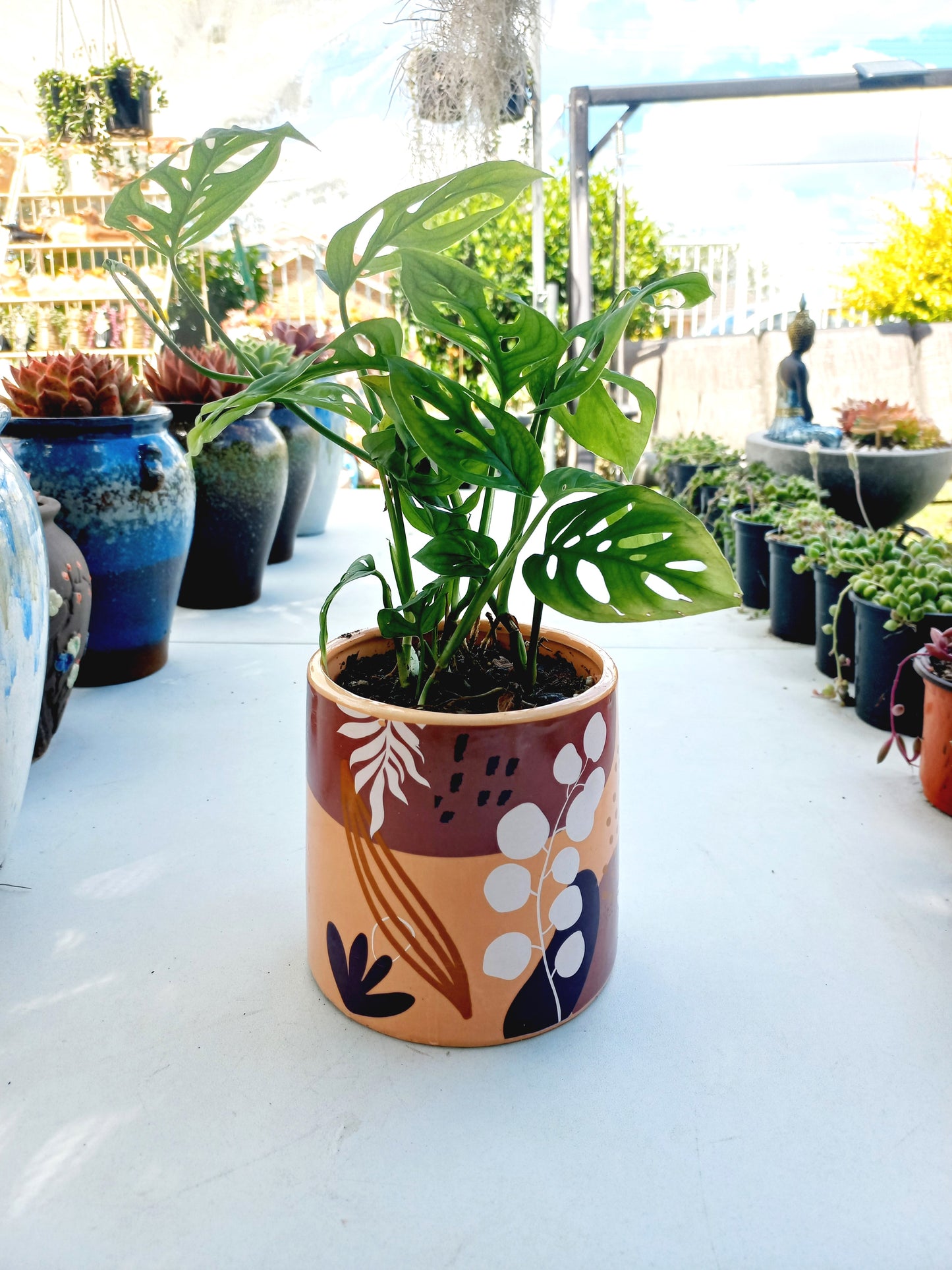 Esmi Foliage Planter Pot - ideal for indoor space!