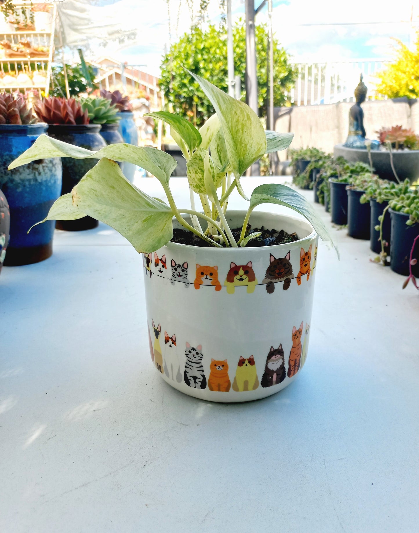 Quirky Cat Planter Multicolored Planter Pot - ideal for indoor space!