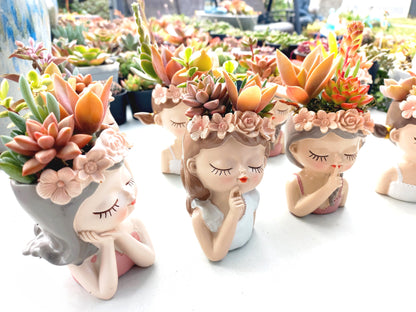 Fairy Princess Succulent Pots 11cm - Return Gifts / Souvenir Gifts