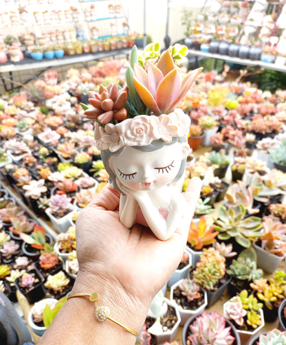 Princess girl Succulent pot - 110mm H