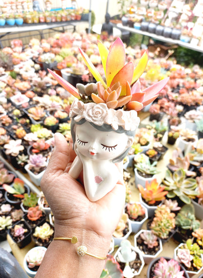 Princess girl Succulent pot - 110mm H