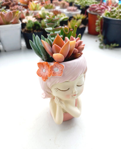 Fairy flower girl Succulent pot - 110mm H