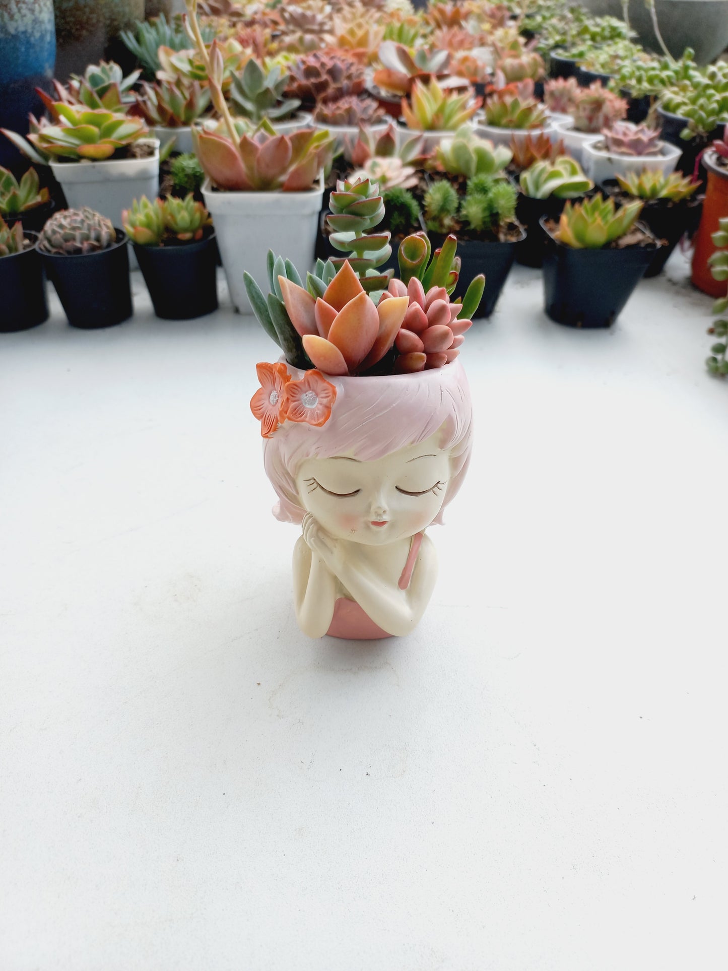 Fairy flower girl Succulent pot - 110mm H