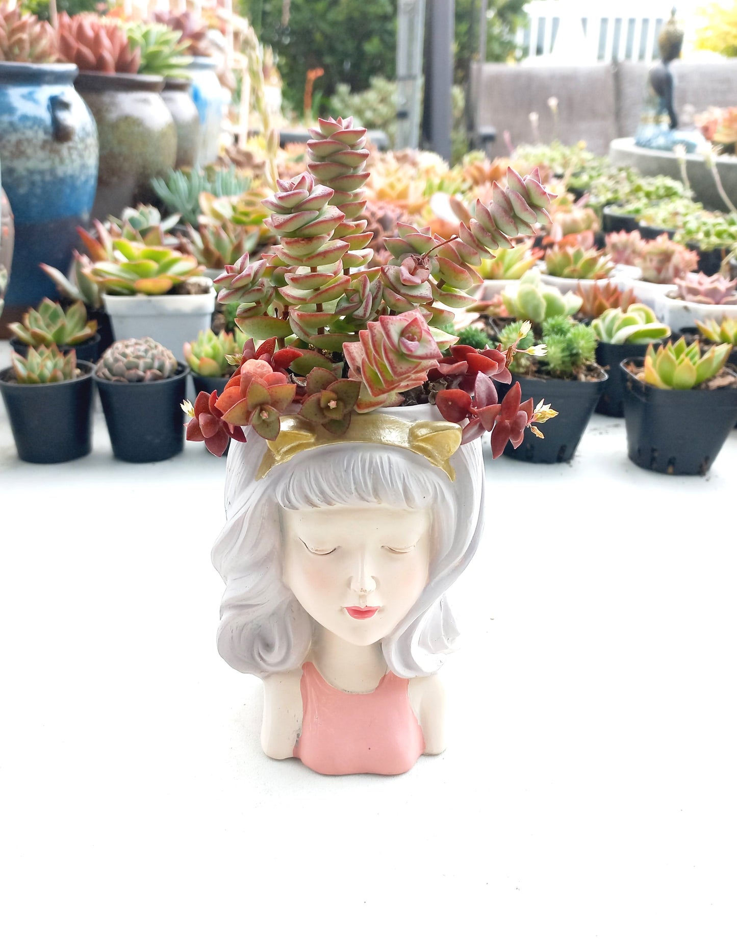 Lady Succulent pot - 140mm H