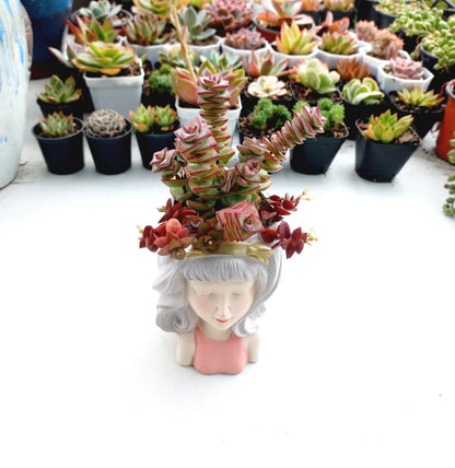 Lady Succulent pot - 140mm H