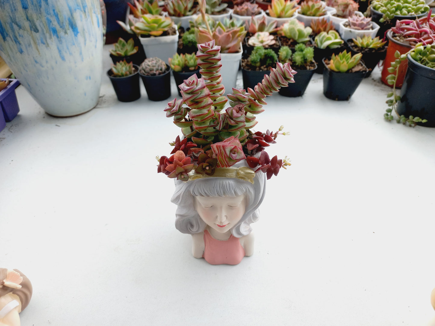 Lady Succulent pot - 140mm H