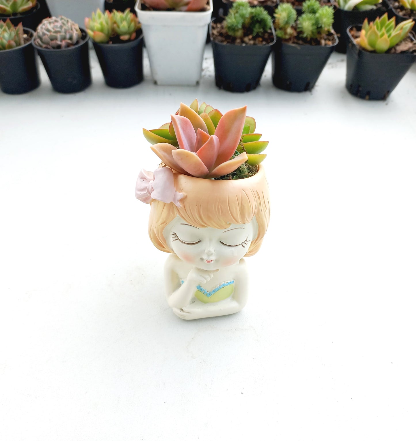 Fairy flower girl Succulent pot - 110mm H