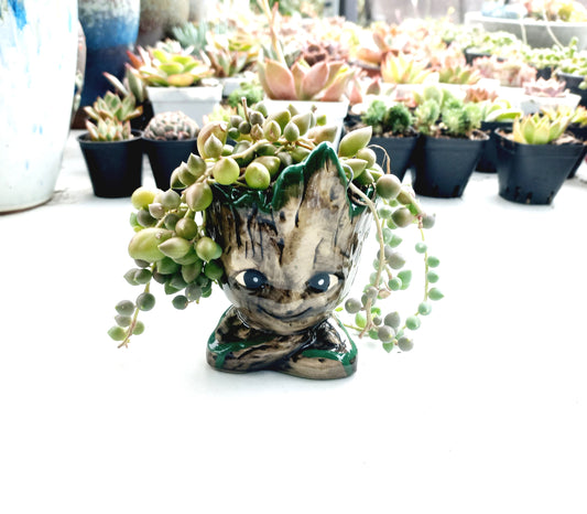 The Cutie Groot Pot