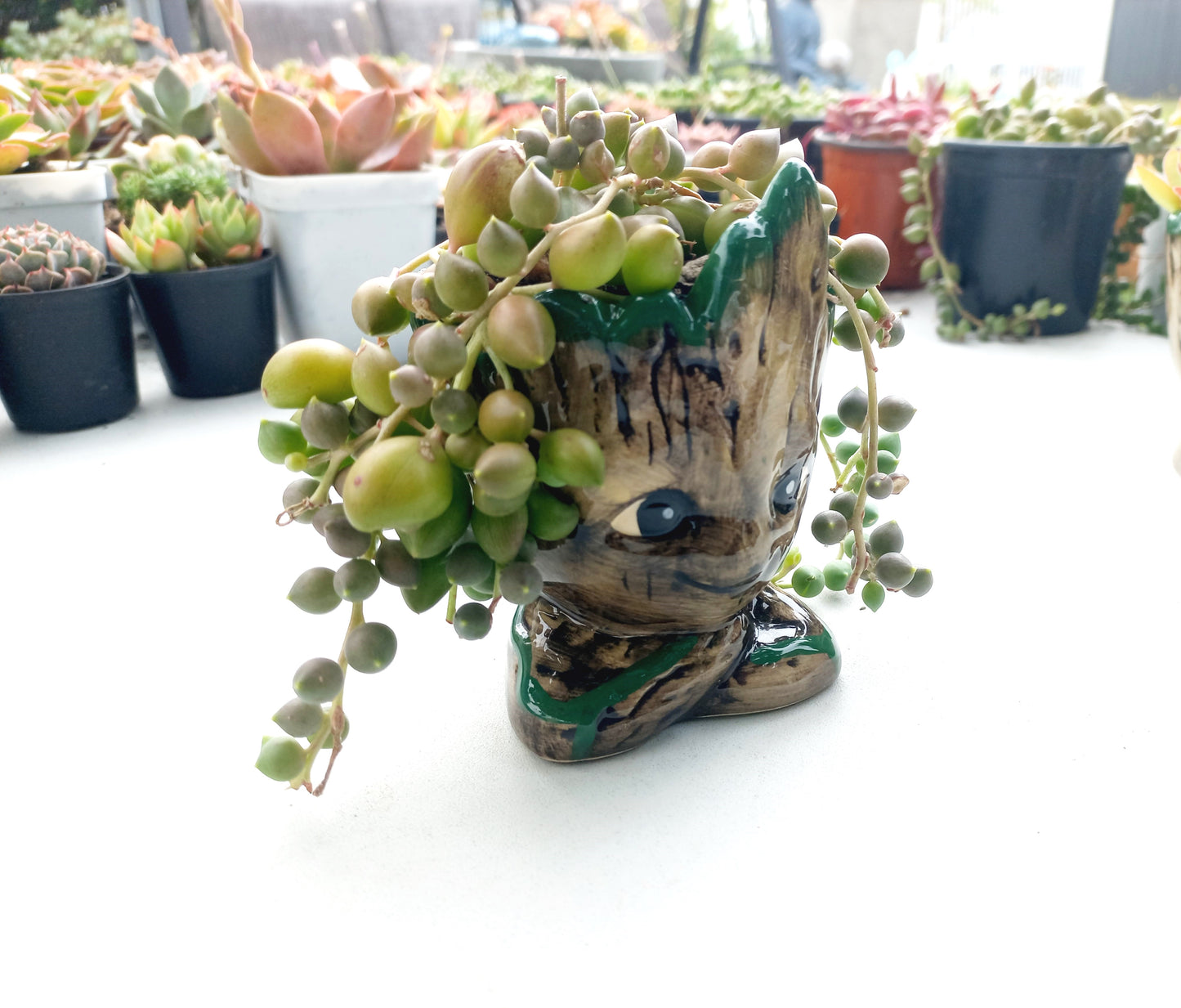 The Cutie Groot Pot