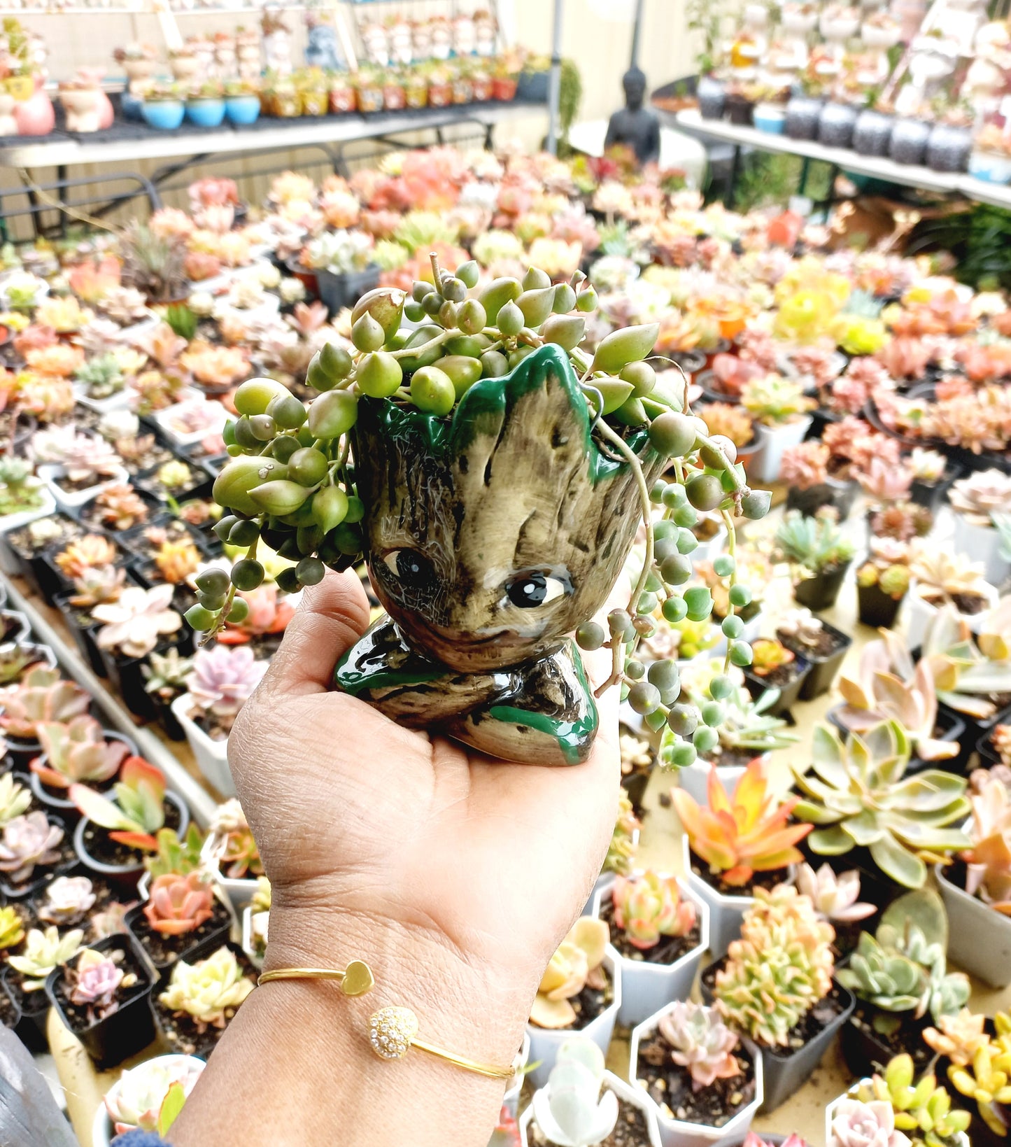 The Cutie Groot Pot