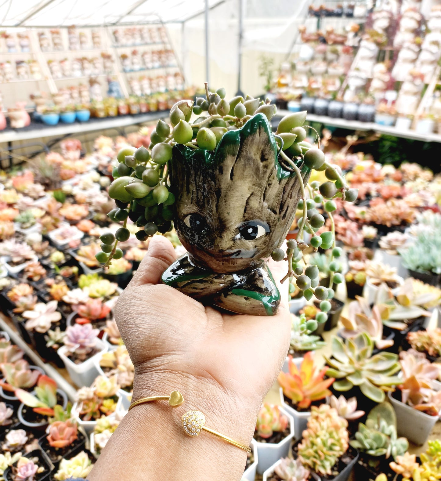 The Cutie Groot Pot