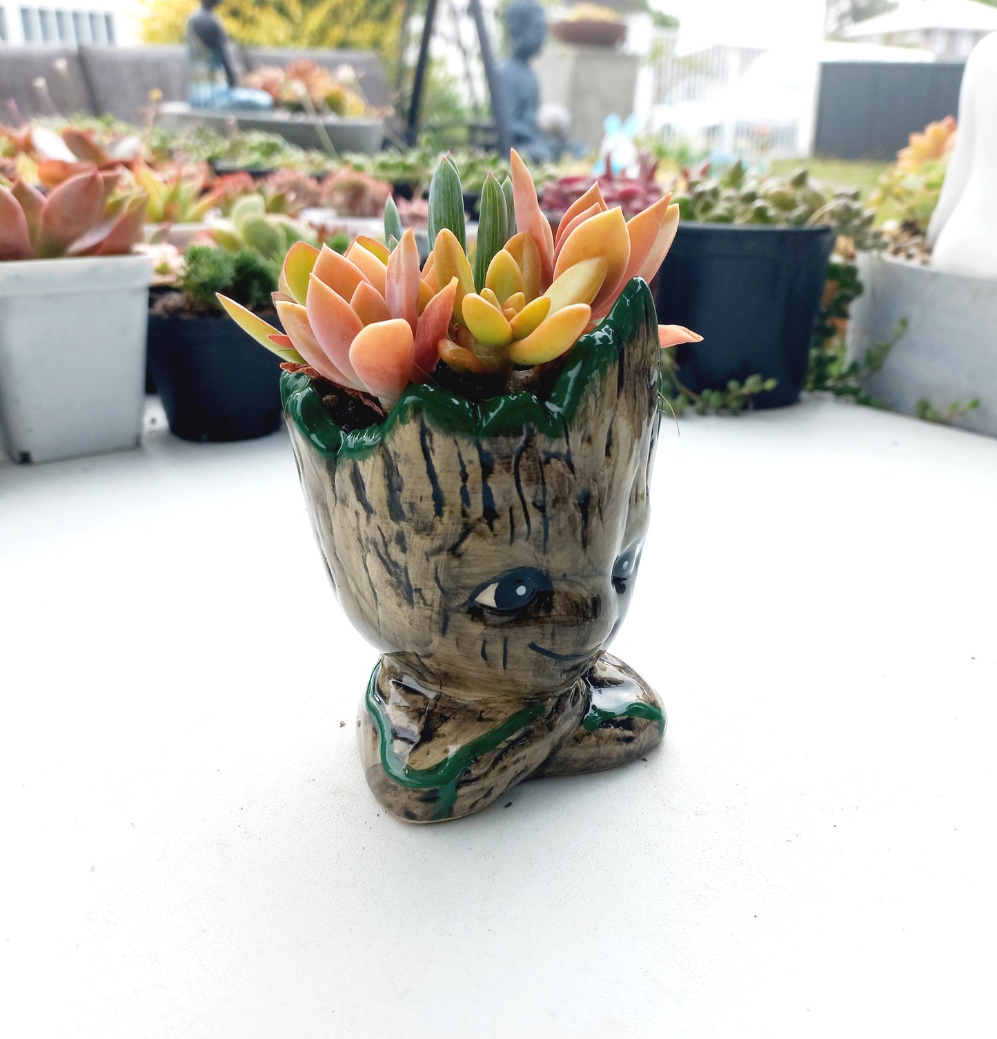 The Cutie Groot Succulent Pot