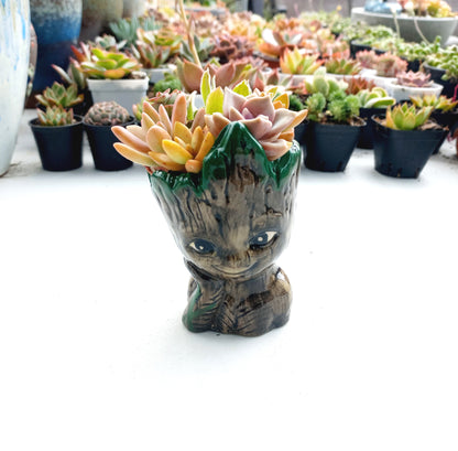 The Cutie Groot Succulent Pot