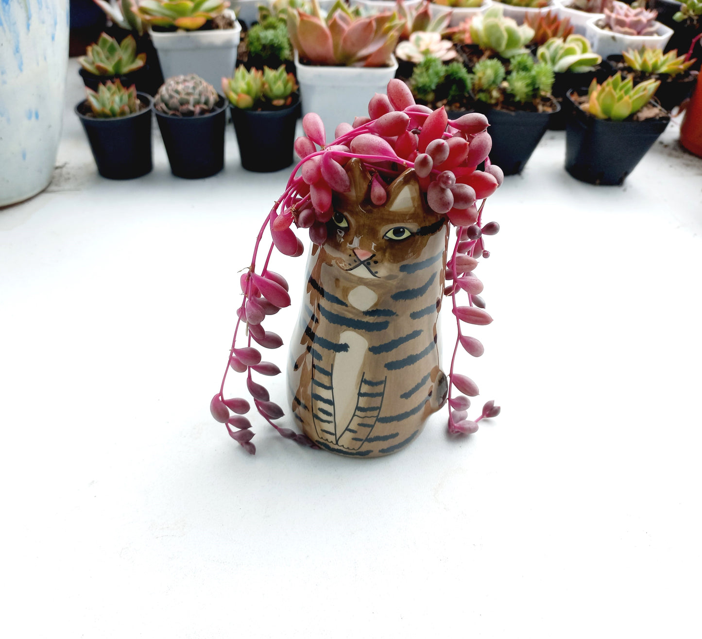 Sitting Brown Cat Succulent pot - For Pet lovers❤️