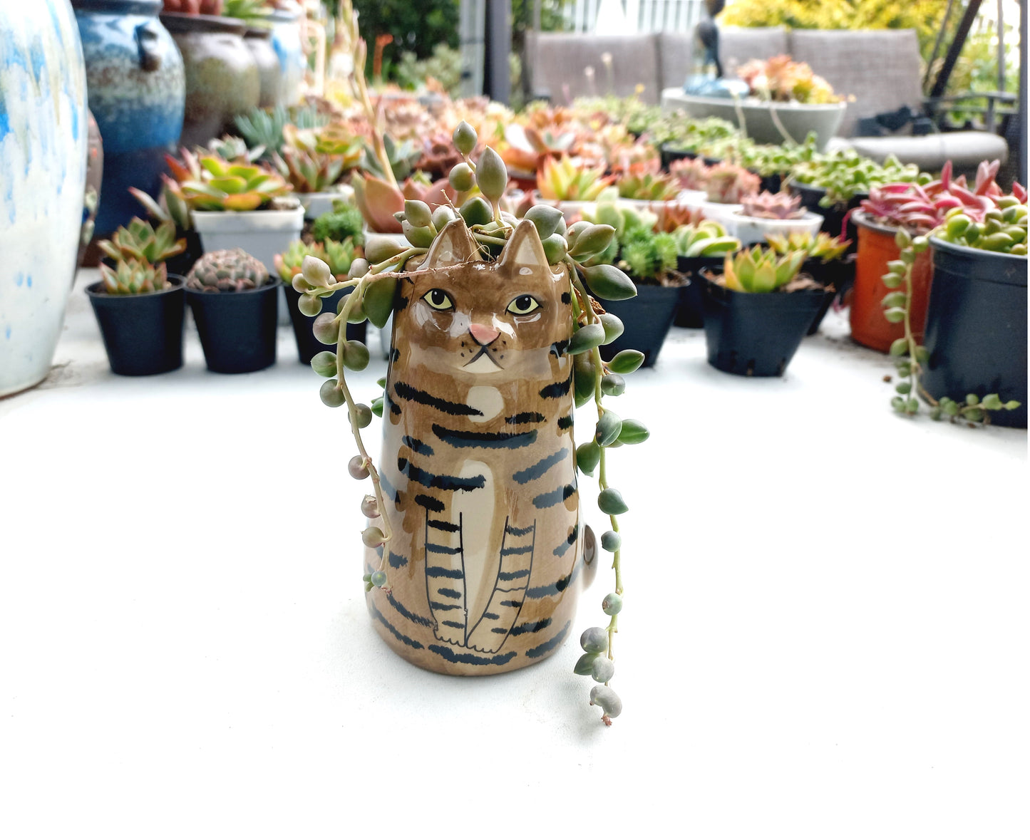 Sitting Brown Cat Succulent pot - For Pet lovers❤️