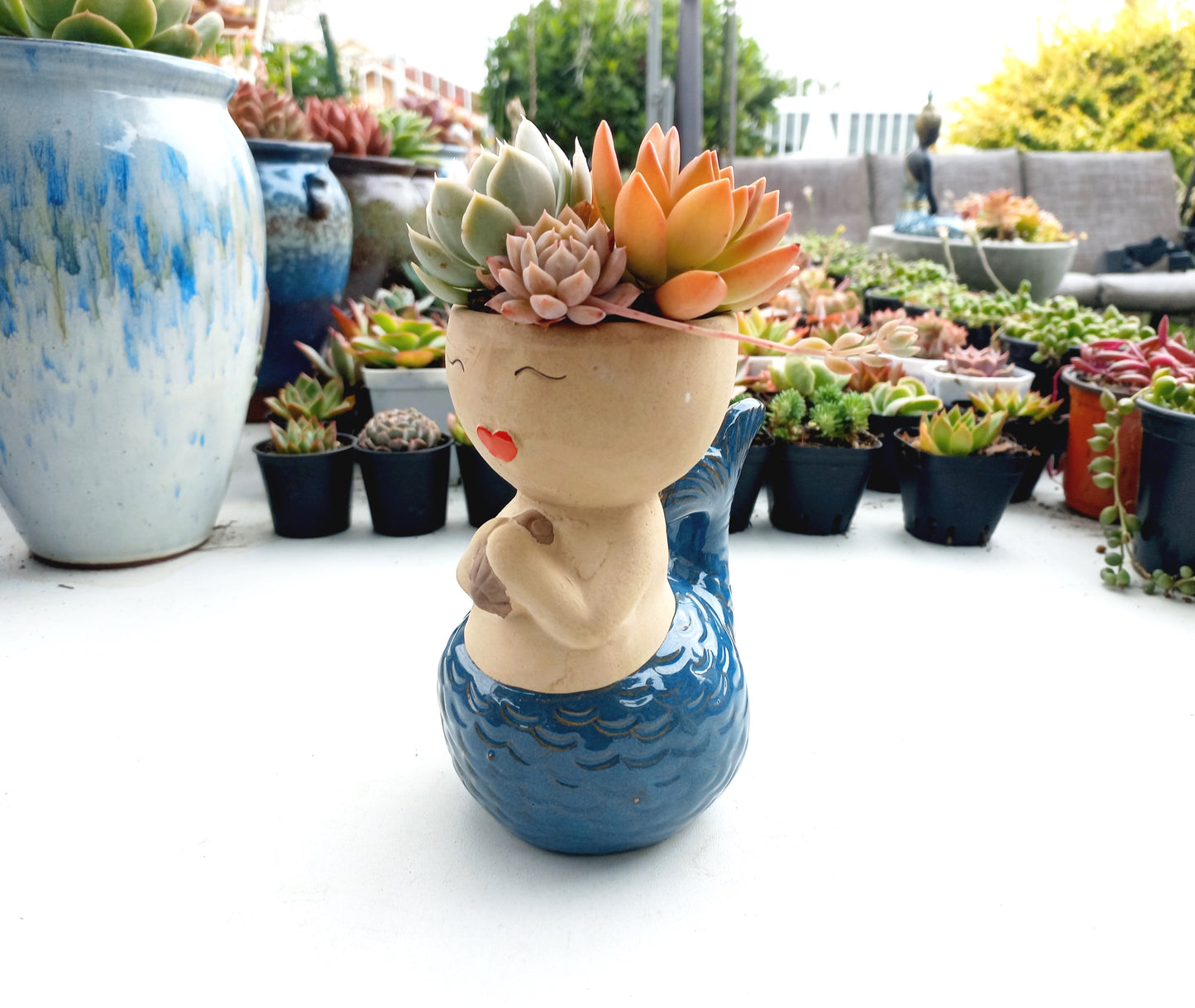 Magic Mermaid Succulent Pot - Blue