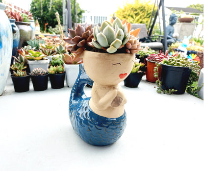 Magic Mermaid Succulent Pot - Blue