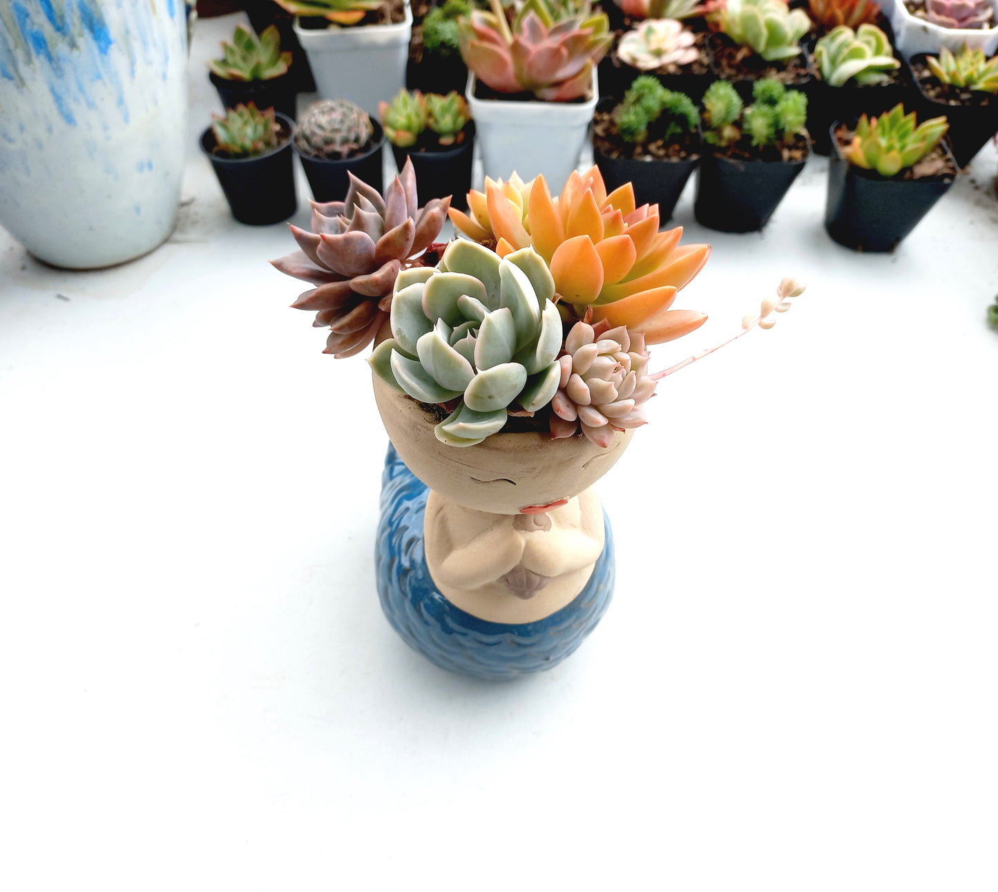 Magic Mermaid Succulent Pot - Blue