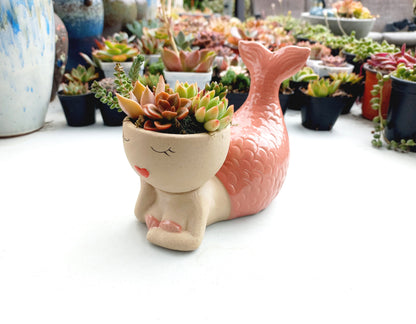 Magic Mermaid Succulent Pot - Pink