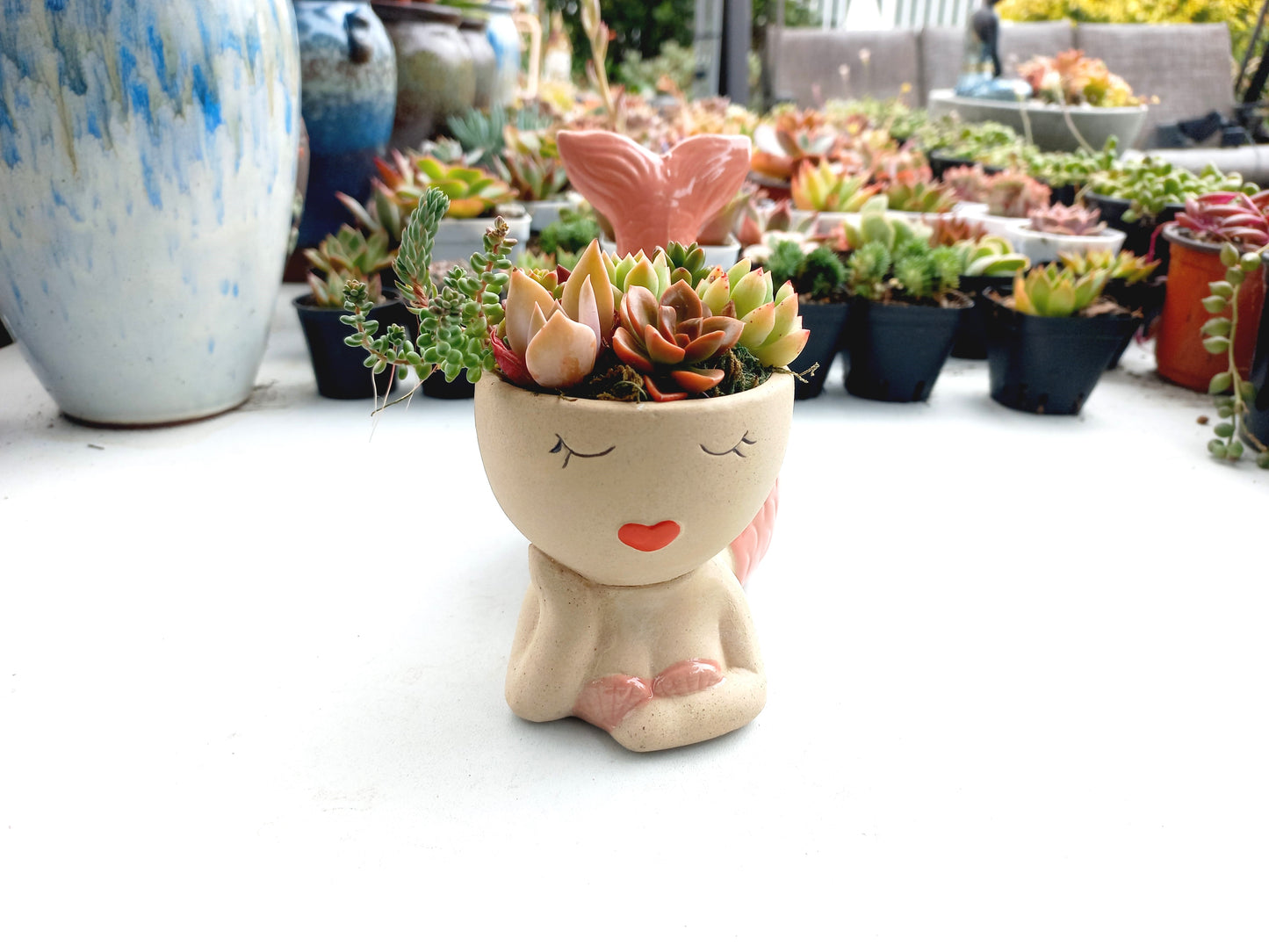 Magic Mermaid Succulent Pot - Pink