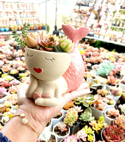 Magic Mermaid Succulent Pot - Pink