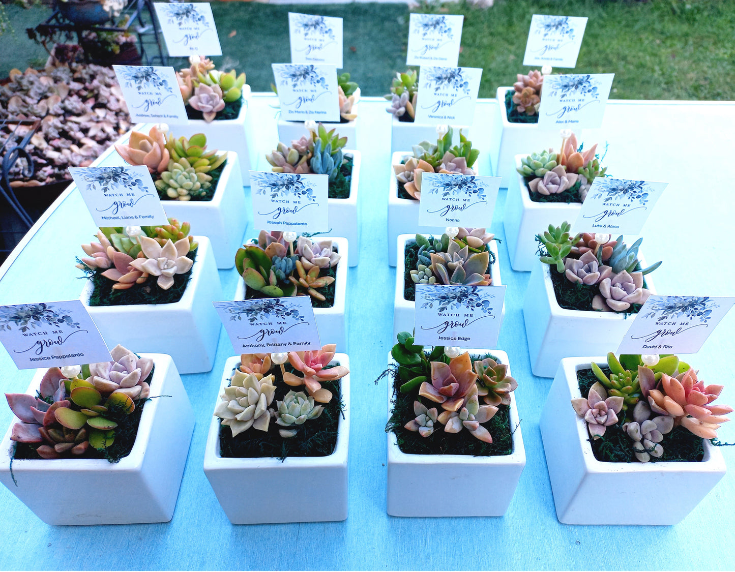 Square cube glazed Succulent Pots 8cm - Return Gifts / Souvenir Gifts