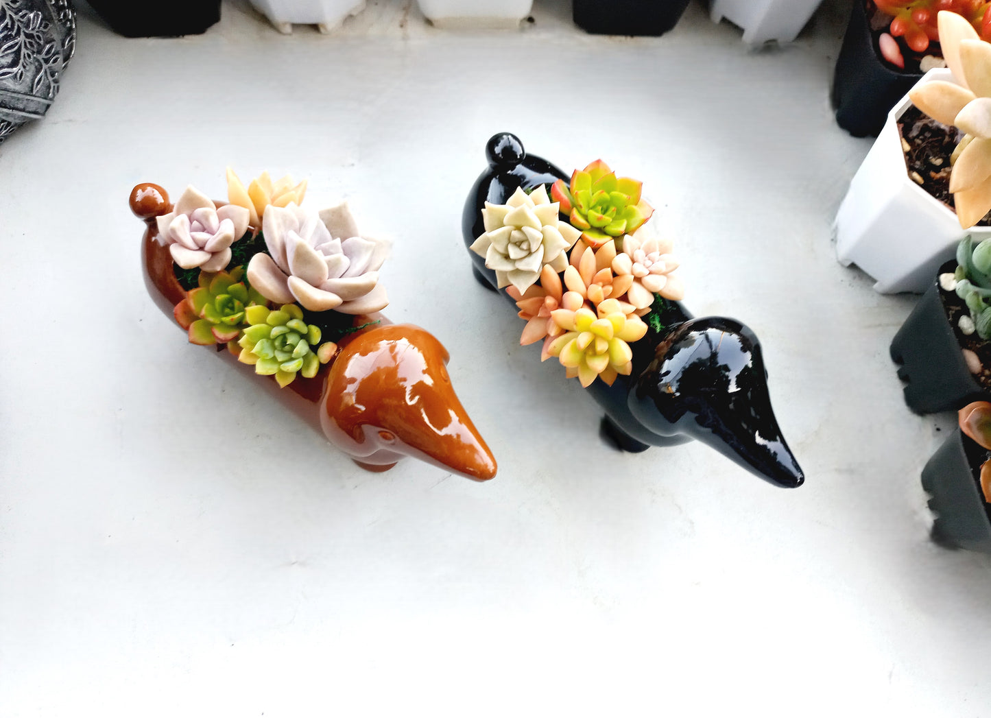 Mini Brown Dachshund Dog Succulent pot - For Pet lovers❤️
