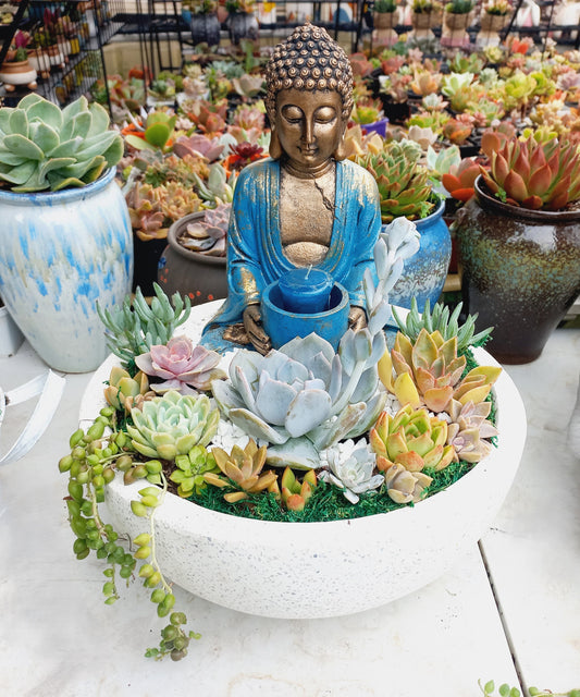 Peaceful Buddha Succulent Pot with candle holder - In-store collection