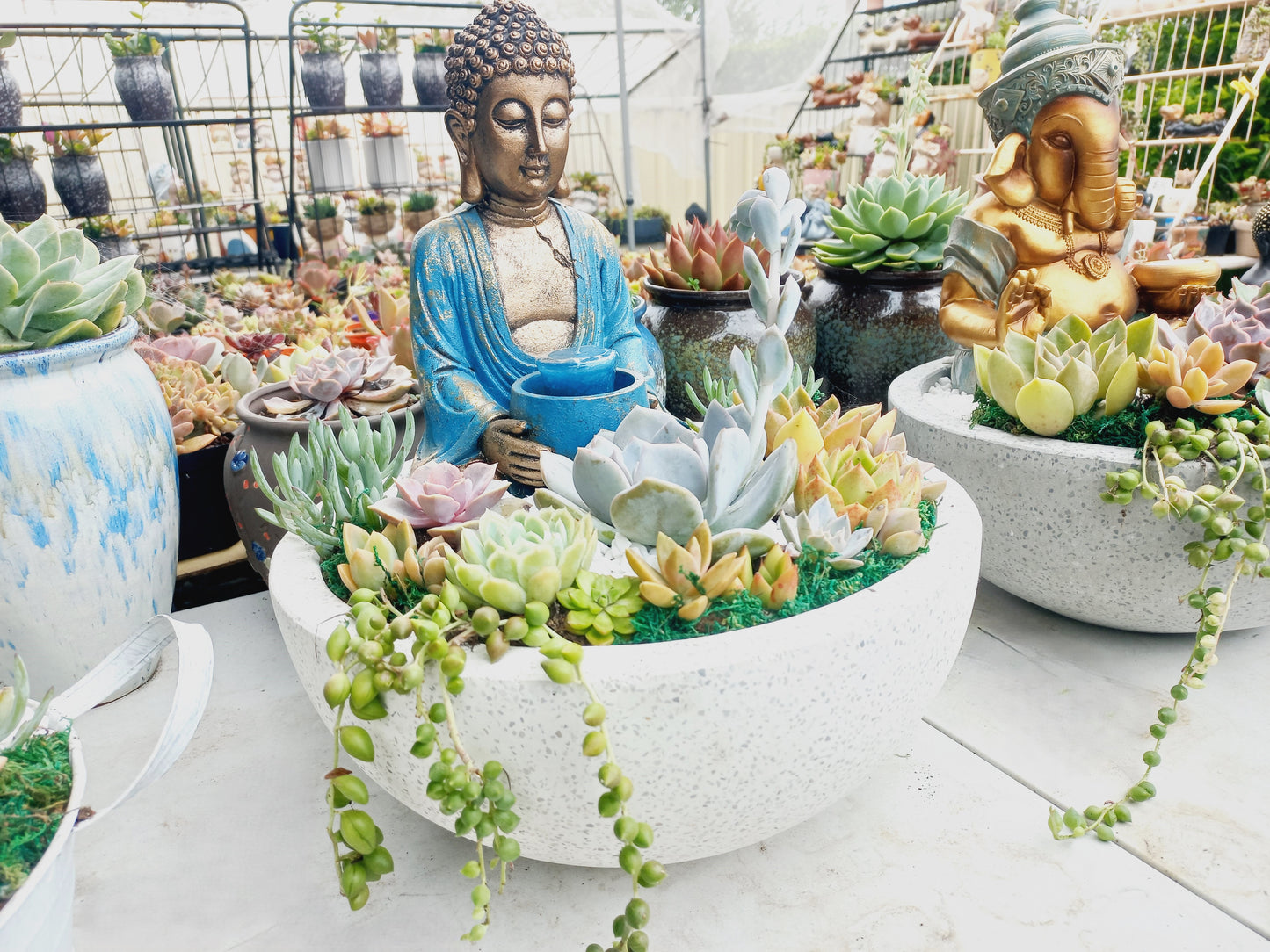 Peaceful Buddha Succulent Pot with candle holder - In-store collection