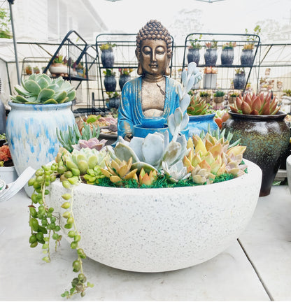 Peaceful Buddha Succulent Pot with candle holder - In-store collection