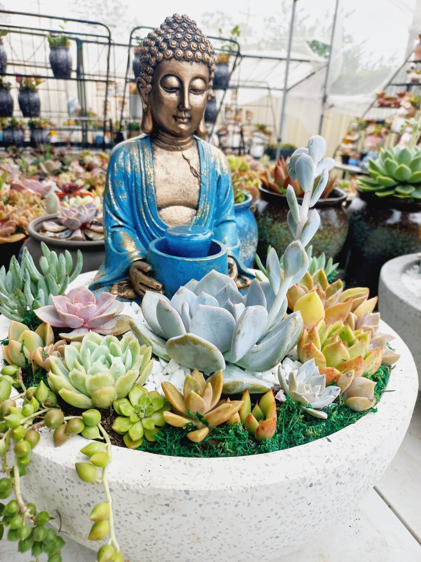 Peaceful Buddha Succulent Pot with candle holder - In-store collection