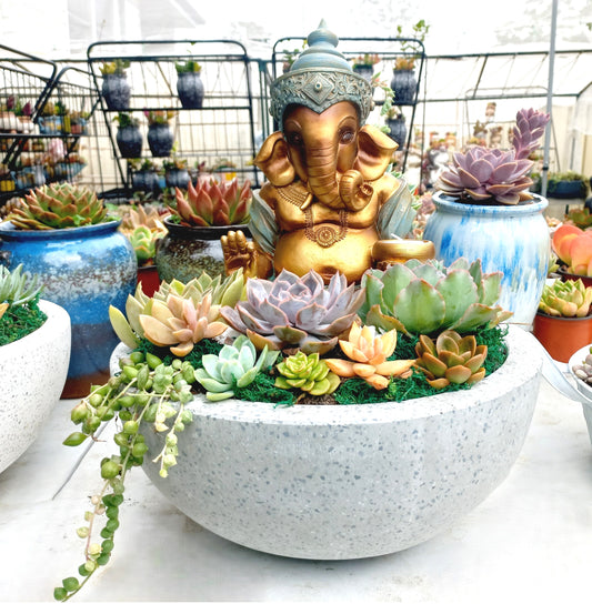 Ganesh Succulent Pot with candle holder - In-store collection