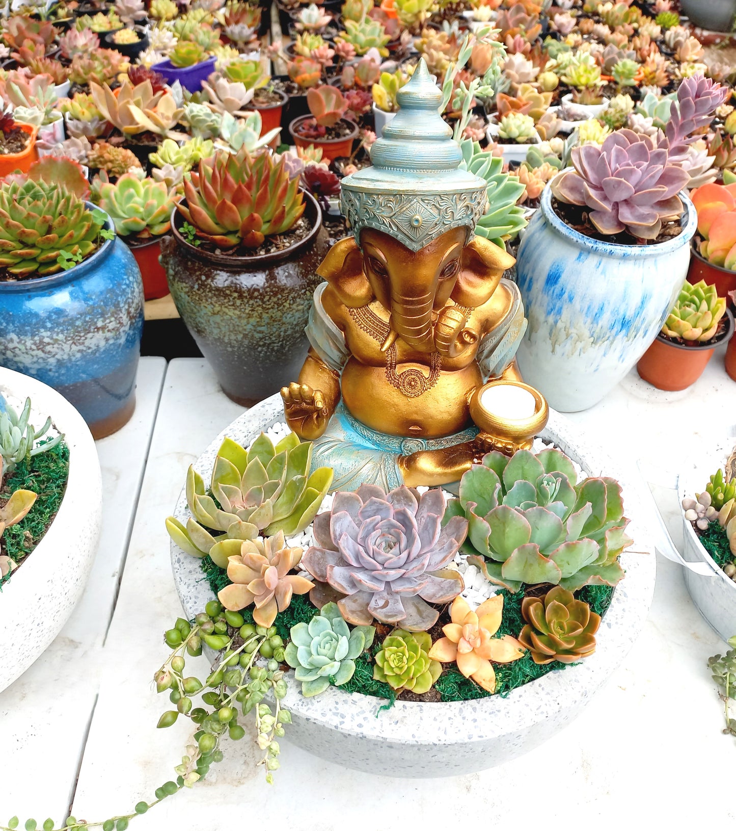 Ganesh Succulent Pot with candle holder - In-store collection