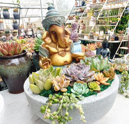 Ganesh Succulent Pot with candle holder - In-store collection