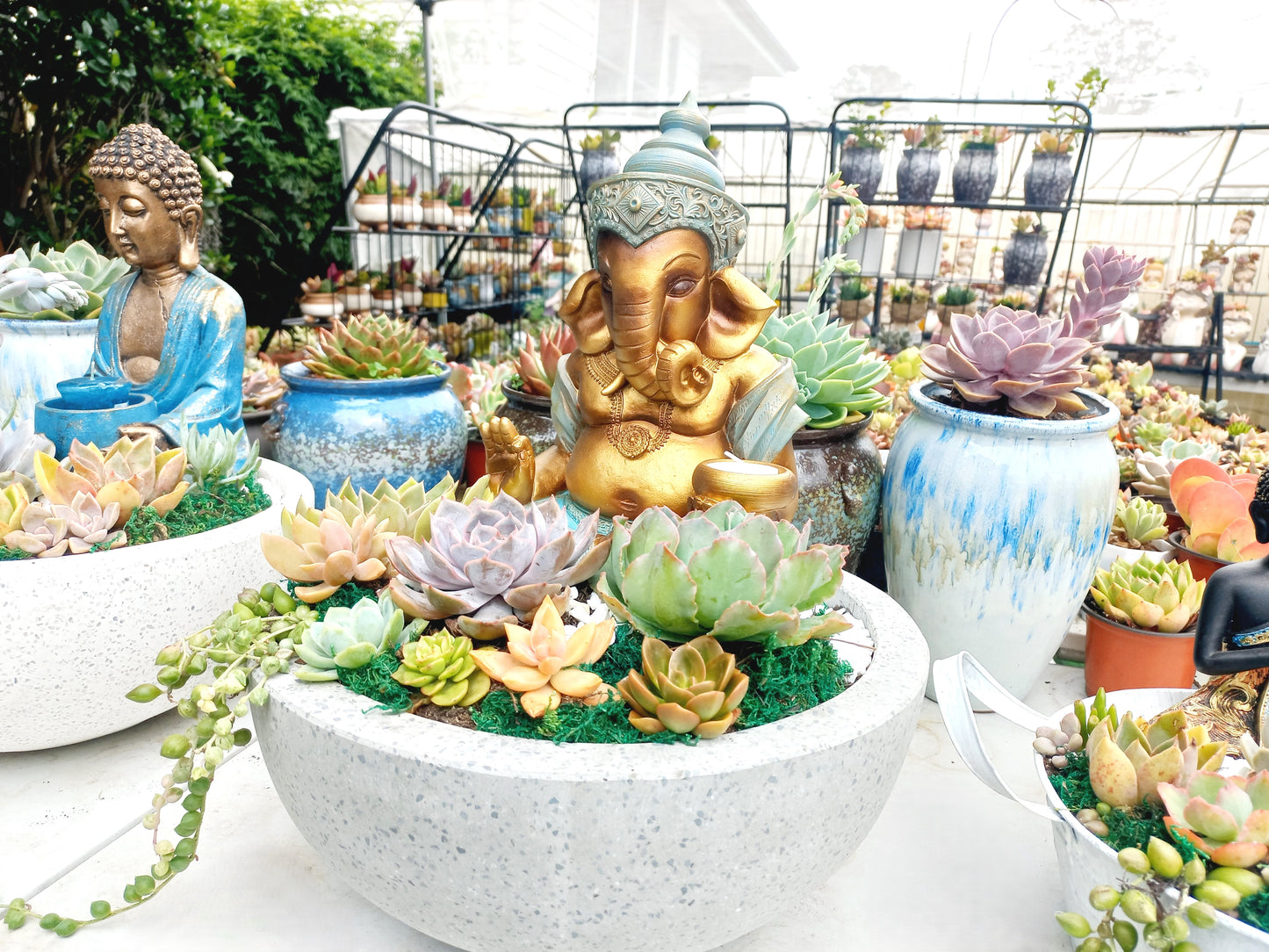 Ganesh Succulent Pot with candle holder - In-store collection