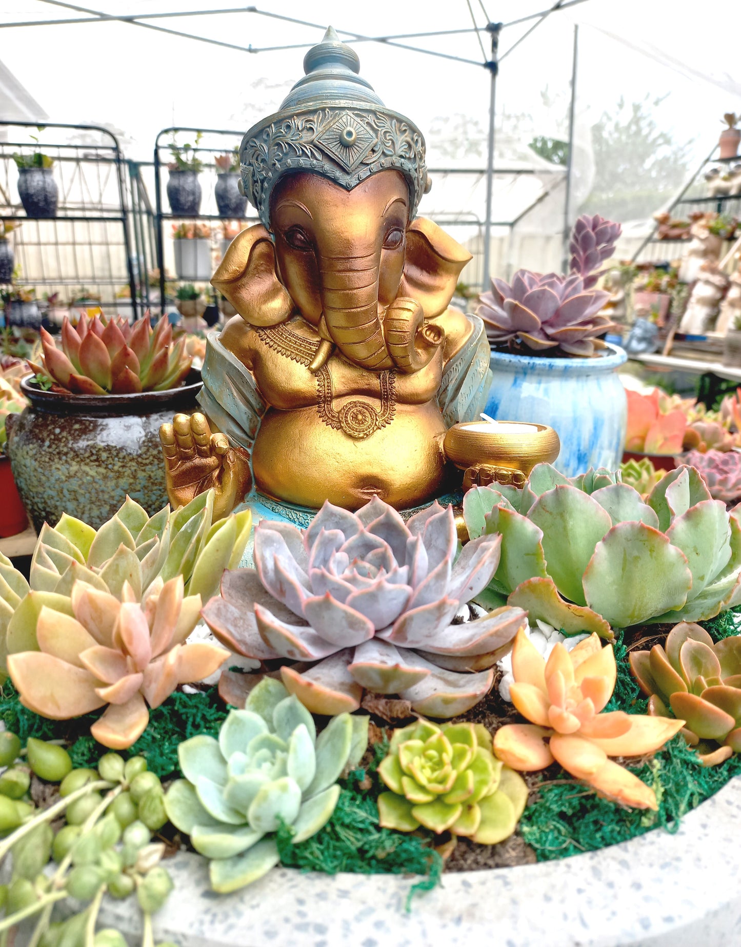 Ganesh Succulent Pot with candle holder - In-store collection