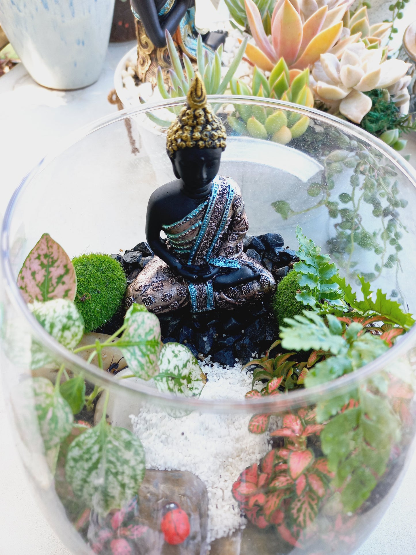 Peaceful Buddha Terrarium