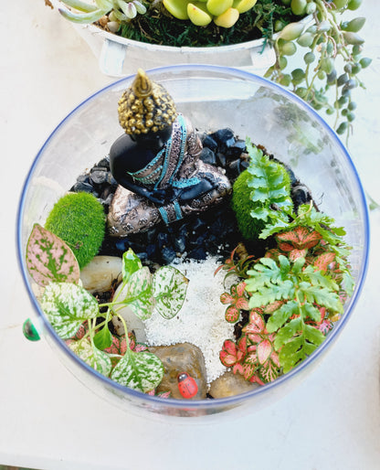 Peaceful Buddha Terrarium