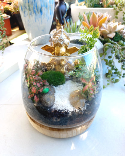 Ganesha's prosperity Terrarium