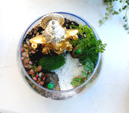 Ganesha's prosperity Terrarium