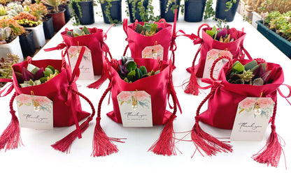 Elegant Fabric Drawstring Red Velvet Succulent Pouches