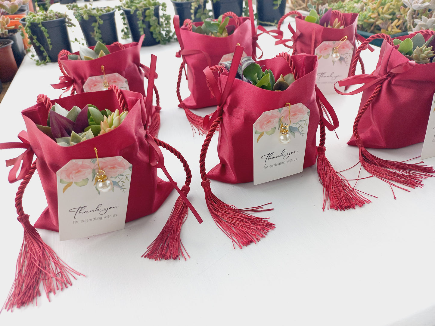 Elegant Fabric Drawstring Red Velvet Succulent Pouches